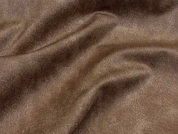 Bliss (camel)